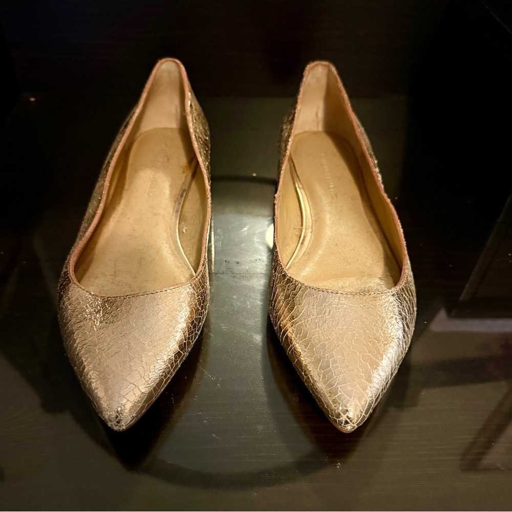 Banana Republic Metallic Gold Pointed-Toe Flats